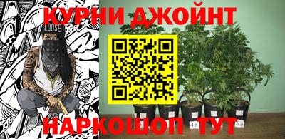 стаф Шебекино