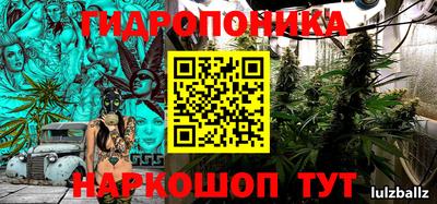 стаф Шебекино