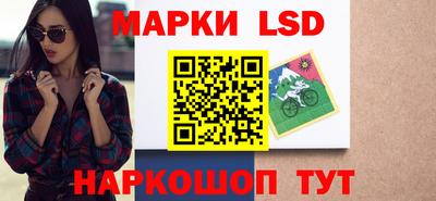 стаф Шебекино