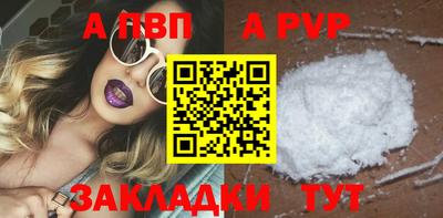 стаф Шебекино