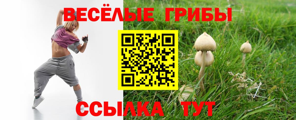 Галлюциногенные грибы Magic Shrooms  Вход с VPN  Галлюциногенные грибы мухоморы  Тула 